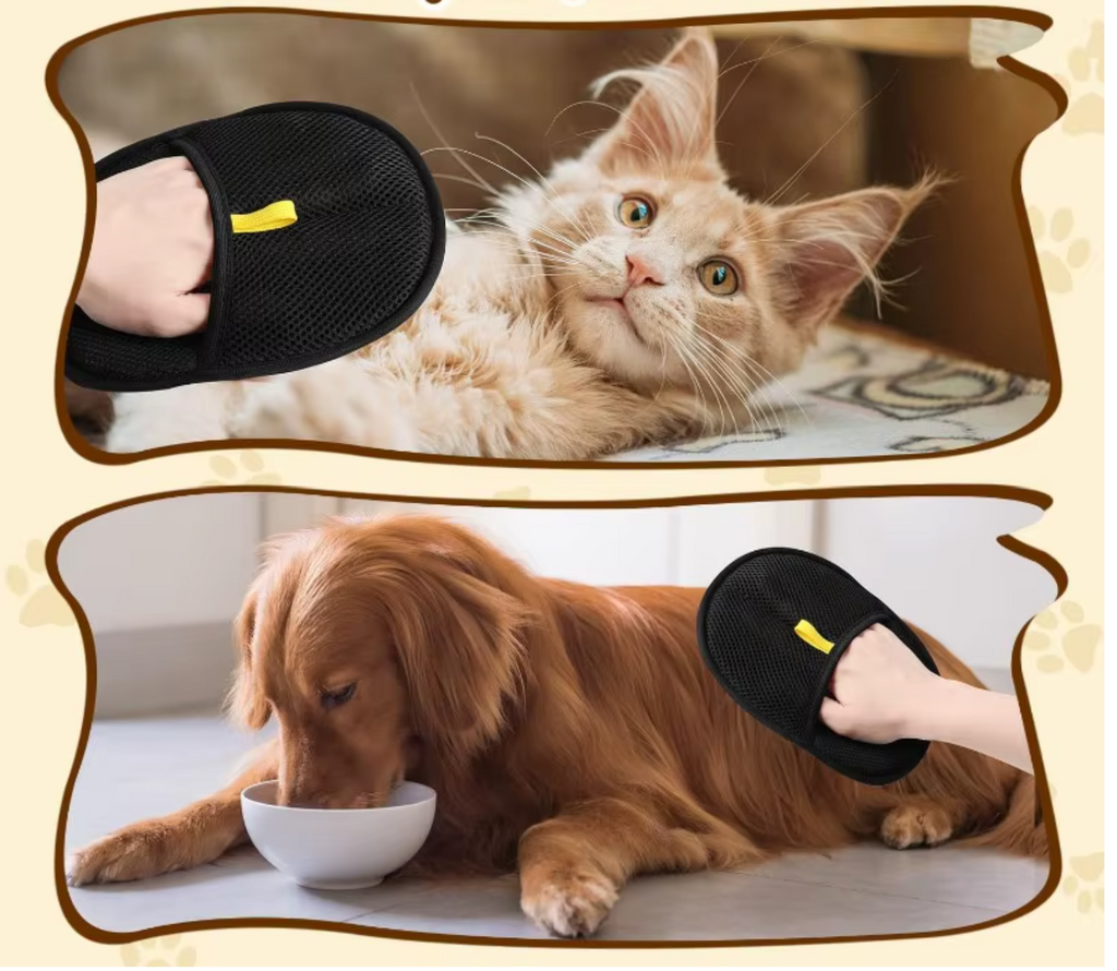 Gant de toilettage anti-poils pour chats et chiens