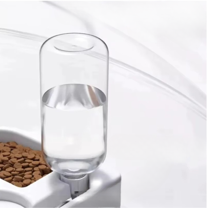 Gamelle Automatique pour Chat