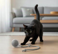 Balle interactive automatique pour chats